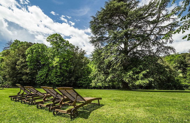 Spectacular Views - Villa Guinigi - Lucca Area - Foto 27