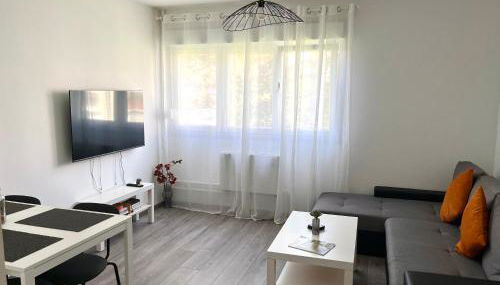 Appartement rénové - Vandoeuvre Lès Nancy - Foto 2