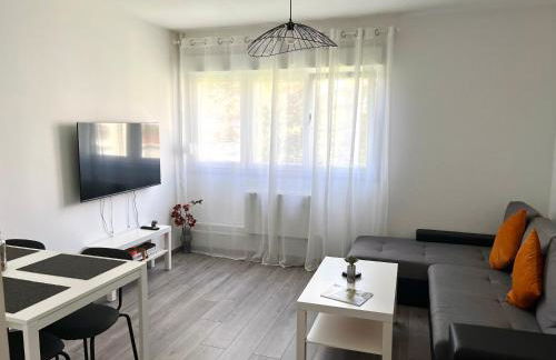 Appartement rénové - Vandoeuvre Lès Nancy - Foto 2