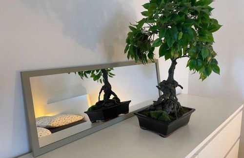 Magnifique appartement à la frontière suisse - Foto 15