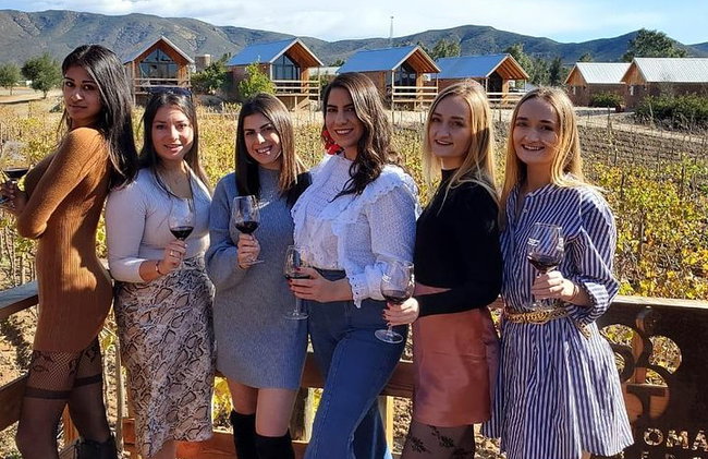 Tour del Vino del Valle de Guadalupe - Foto 2