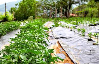 Agriturismo Il Raduno - Foto 107