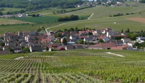 La Longère de Vin'Ay - Foto 1