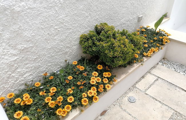 Residence Leucasia - Foto 33