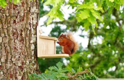 Blarghour Farm Cottages - Foto 25