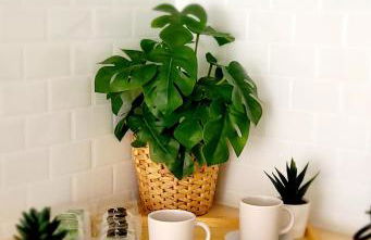 Modern Apartament al costat del Parc de la Devesa - Foto 7