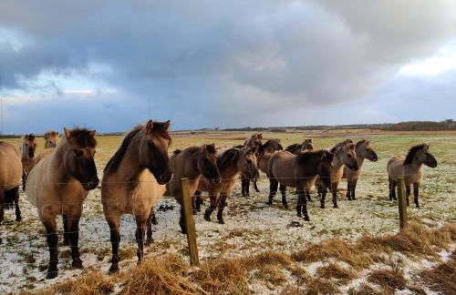 Wildflower Eco Lodges - Foto 56
