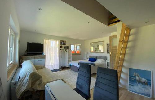 DarWik Domki Letniskowe - Foto 1