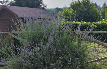 casavacanzetorresansevero - Foto 18