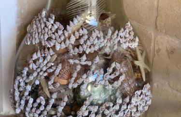 Shell House, Casa con ampio giardino a 100m dal mare - Photo 21