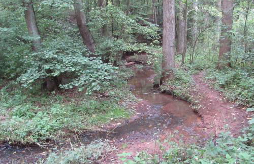 Ferienwohnung "Eifelstueffje" - Foto 72