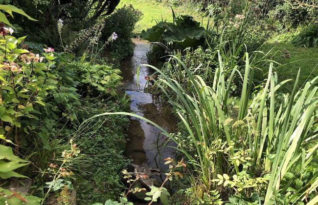 Lovely Quiet Cottage in Kemerton! - Photo 19