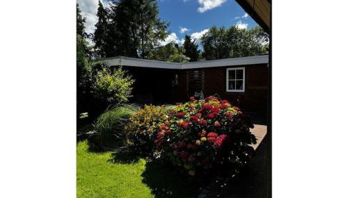 Michael's Elbe Dream - Foto 2, Other