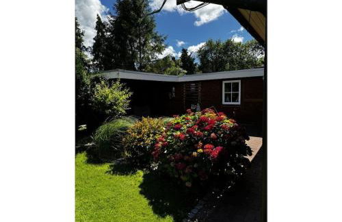 Michael's Elbe Dream - Foto 2