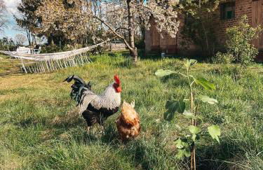 Alte Schule Brandenburg - Photo 30