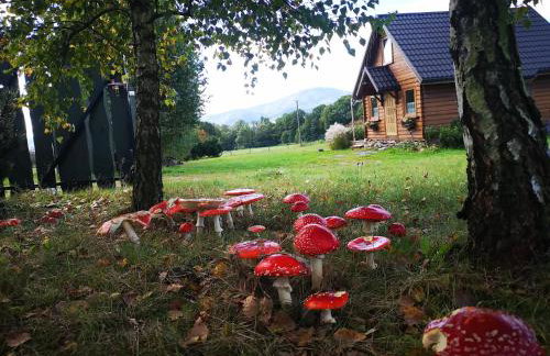 Domek na Kamieńcu - Foto 1