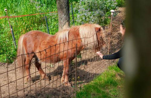 Il Nido di Erin - Photo 15