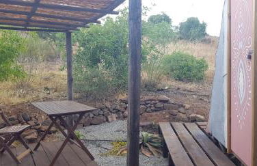 Quinta da Fornalha - Santuario Agroecologico - Foto 70