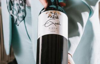 Sun and Sea Plus Resort Hotel - Foto 137