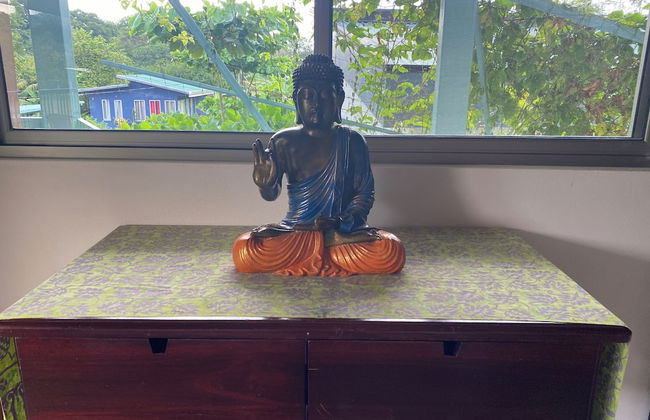 Morning Glory - Foto 7