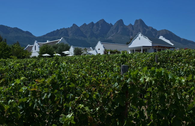 Dunstone Country House - Foto 44