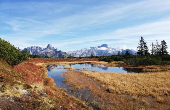 Spacious Holiday Home in Goldegg near Ski Area - Photo 37