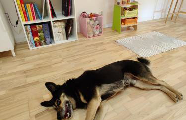 Dom Szumią Wierzby - Foto 30