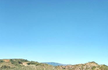 Casa Las Niñas - Foto 45