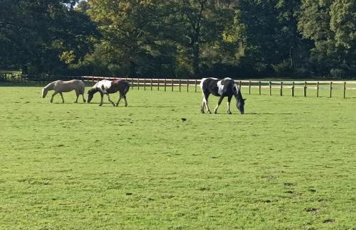 Secluded Countryside Retreat for Four, Gloucester - Photo 23