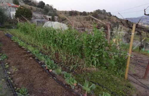 Quinta da Portinha, stunning views of the Douro River - Foto 20