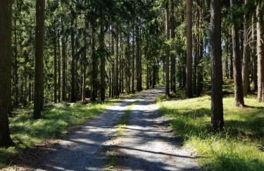 Boxis Ferienhaus - Foto 25