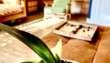 #MirrorSands - Foto 1