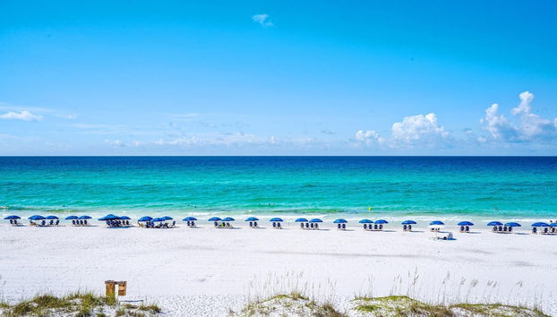 Charlie Boy - Foto 2, Imagen principal