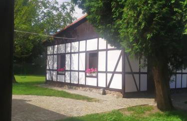 Agroturystyka Wilczyn Cegielnia - Foto 33