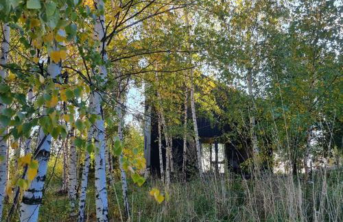 Drewniany dom w brzozowisku - Foto 9