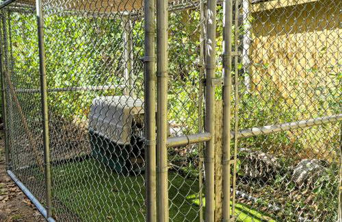 A Bear's Rest - Foto 25