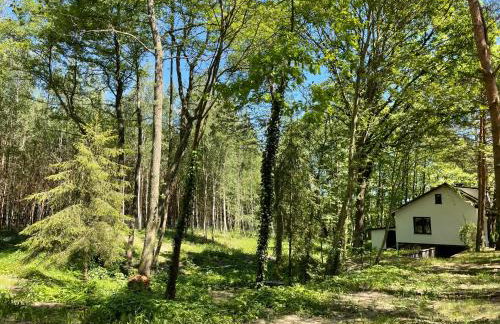 U źródła. Noclegi w Małym Dólsku - Foto 28