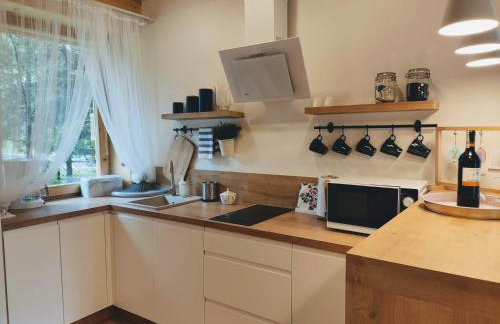 Apartament Borowikowe Zacisze - Foto 10
