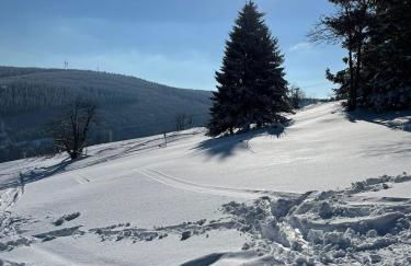 Villa Laas Oberwiesenthal - Foto 52