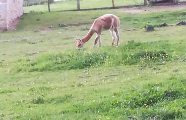 joli gîte plain pied - Foto 36
