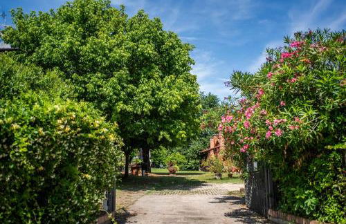 Agriturismo San Bartolomeo - Foto 59