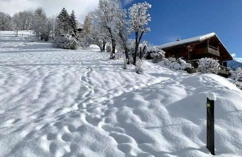 Logement 3 étoiles avec vue imprenable sur les montagnes, ski bus - Photo 8
