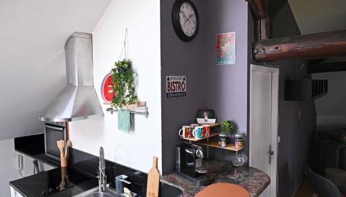 Ecrin calme à Nancy - A deux pas de la place Stanislas Appart 2ch - Foto 2