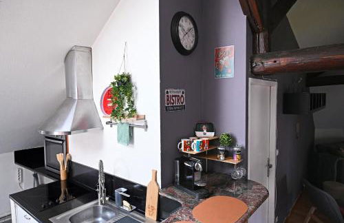 Ecrin calme à Nancy - A deux pas de la place Stanislas Appart 2ch - Foto 2