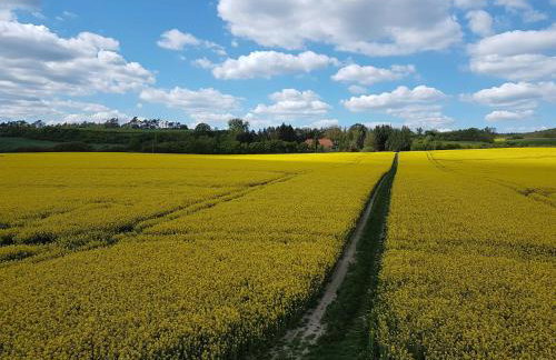 Ferienwohnungen am Malchiner See - Foto 11