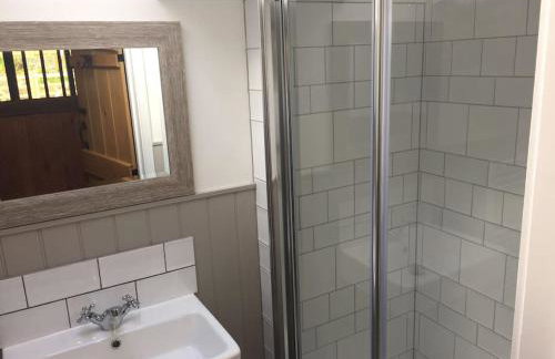 Luxury New Forest Barn, ideal for couples - Photo 24