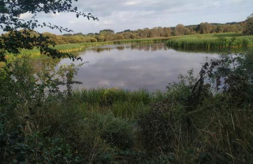 Casa de Corbelle - Foto 50