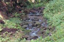 Beskidzka Apartments - Foto 54