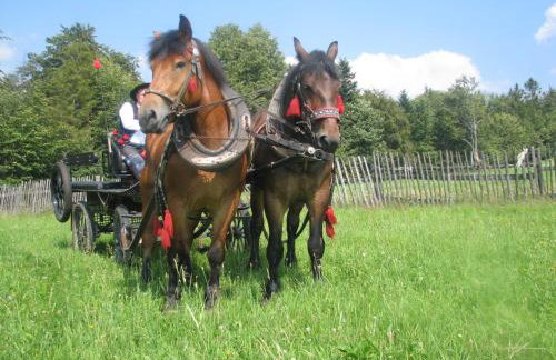 Chatka Milkowska - Foto 30