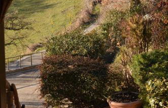 Agriturismo Pettino - Foto 37